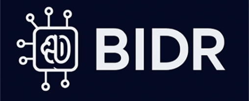 BIDR – Your AI Tender Team
